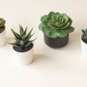 Mini Succulent Pot Set