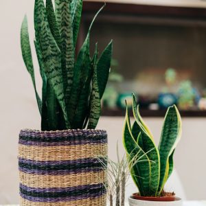 Rattan Basket Planter