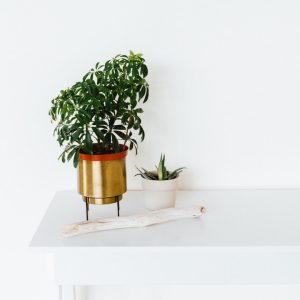 Brass Finish Planter
