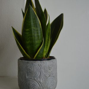 Textured Stoneware Pot