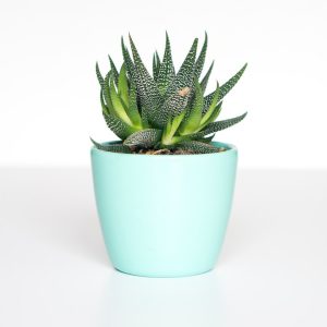 Recycled Plastic Planter