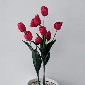 Classic Terracotta Pot – Medium