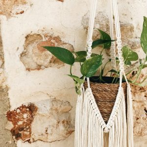 Hanging Macrame Planter