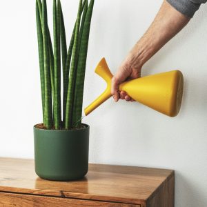 Self-Watering Planter