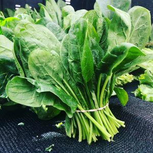 Spinach Seeds