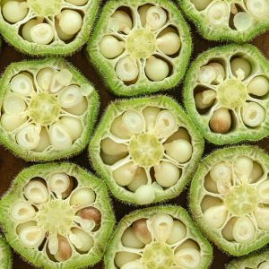 Okra Seeds