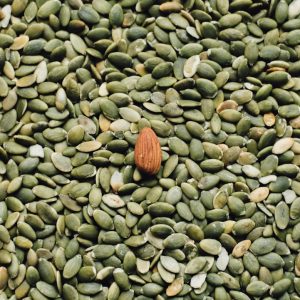 Pumpkin Seeds