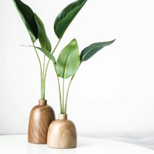Desk Plant Duo