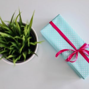 Diwali Plant Gift Box