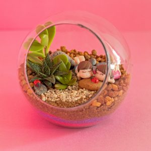Terrarium Gift Set