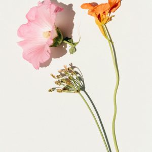 Flowering Plant Duo