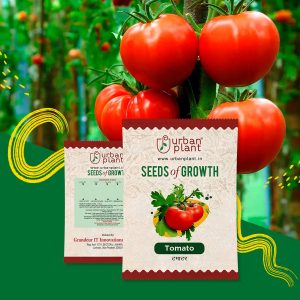 Tomato Seeds Pack