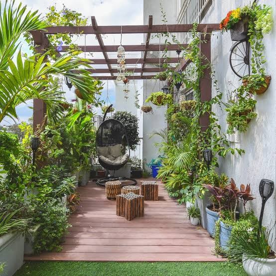 Home and balcony garden setup