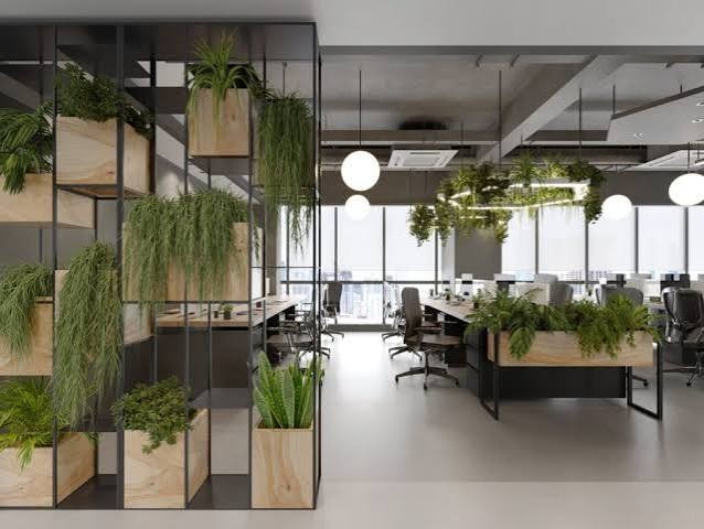 Office plant rentals