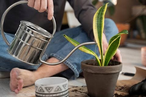 Ongoing plant maintenance